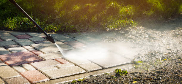 Best Spring Cleaning  in Longview, WA